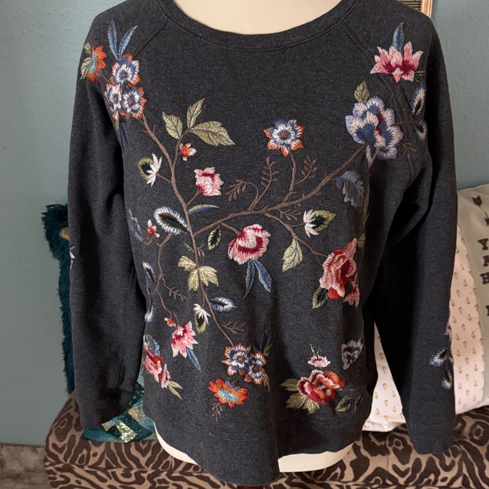 Johnny Was Renata Raglan Embroidered Sweatshirt